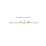 003-009-052 - Tube de pompe péristaltique deux butées Solva Flex Tygon R4040 - Ecart. 140 mm entre butées - DI 0,25 mm - orange/bleu