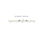 003-009-063 - Tube de pompe péristaltique deux butées Solva Flex Tygon R4040 - Ecart. 140 mm entre butées - DI 1,65 mm - bleu/bleu