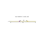 003-009-067 - Tube de pompe péristaltique deux butées Solva Flex Tygon R4040 - Ecart. 140 mm entre butées - DI 2,54 mm - violet/orange