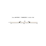 003-009-472 - Tube de pompe péristaltique deux butées - Santorpène® / Pharmaprène® - Écartement 150 mm entre butées - Diamètre interne 0,76 mm - noir/noir - Longueur 400 mm